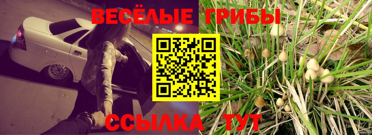 Псилоцибиновые грибы Magic Shrooms Дмитров