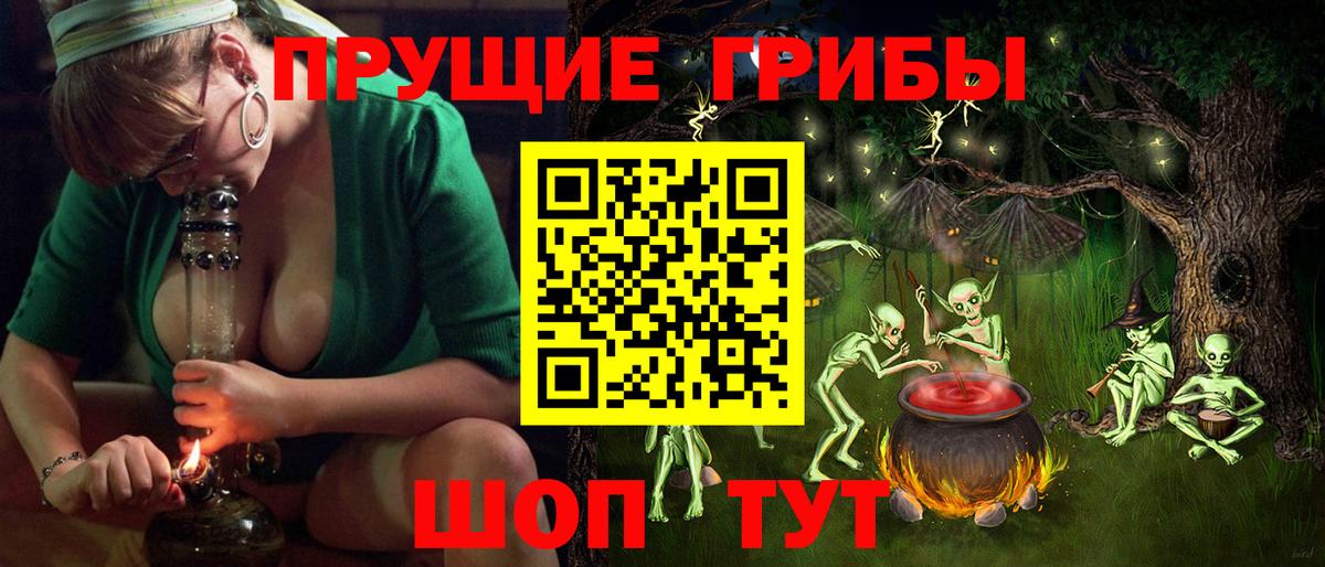Галлюциногенные грибы Psilocybe  Вход с VPN  Дмитров 